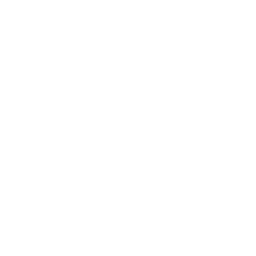 usa (1)